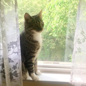 Meet your Posher, Amy